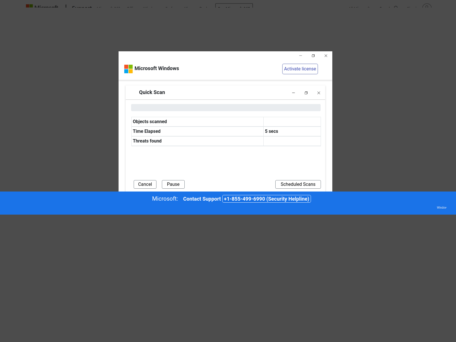 screenshot of the reported site