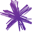 Logo for SPARK-NZ